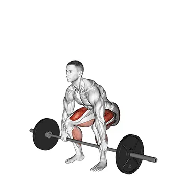 Barbell Deadlift demo