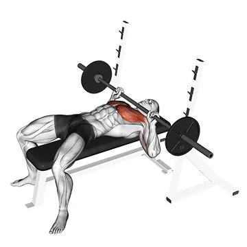 Barbell Guillotine Bench Press