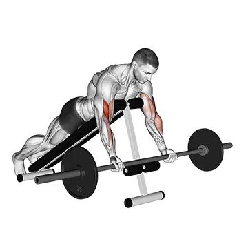 Barbell Prone Incline Curl