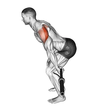 Barbell Skier