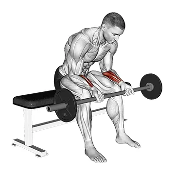 Barbell Wrist Curl