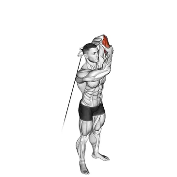 Cable Alternate Triceps Extension