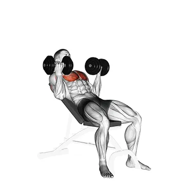 Dumbbell Incline Palm-In Press