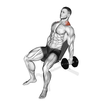 Dumbbell Incline Shrug