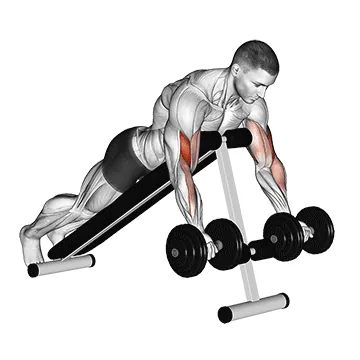 Dumbbell Prone Incline Curl