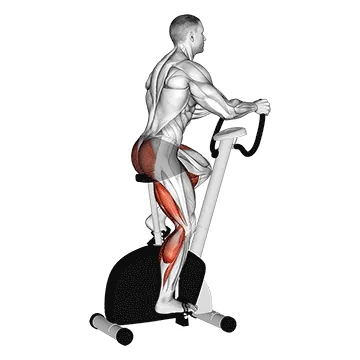 Stationary Bike Walk
