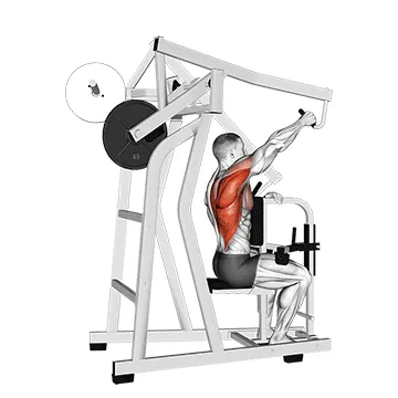 Lever One Arm Lateral High Row