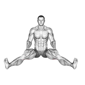 Seated Wide Angle Pose Sequence