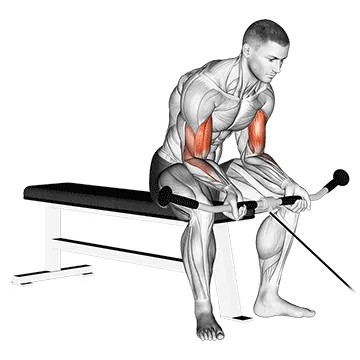 Cable Seated Curl