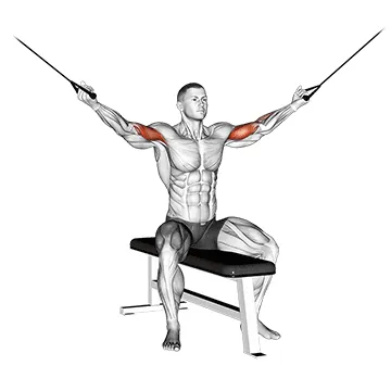 Cable Seated Overhead Curl