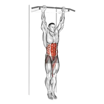 Hanging Leg Hip Raise