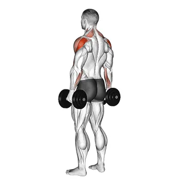Dumbbell Rear Delt Raise
