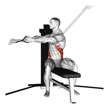 Cable Seated Twist