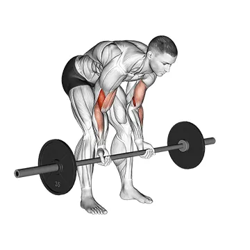 Barbell Standing Concentration Curl